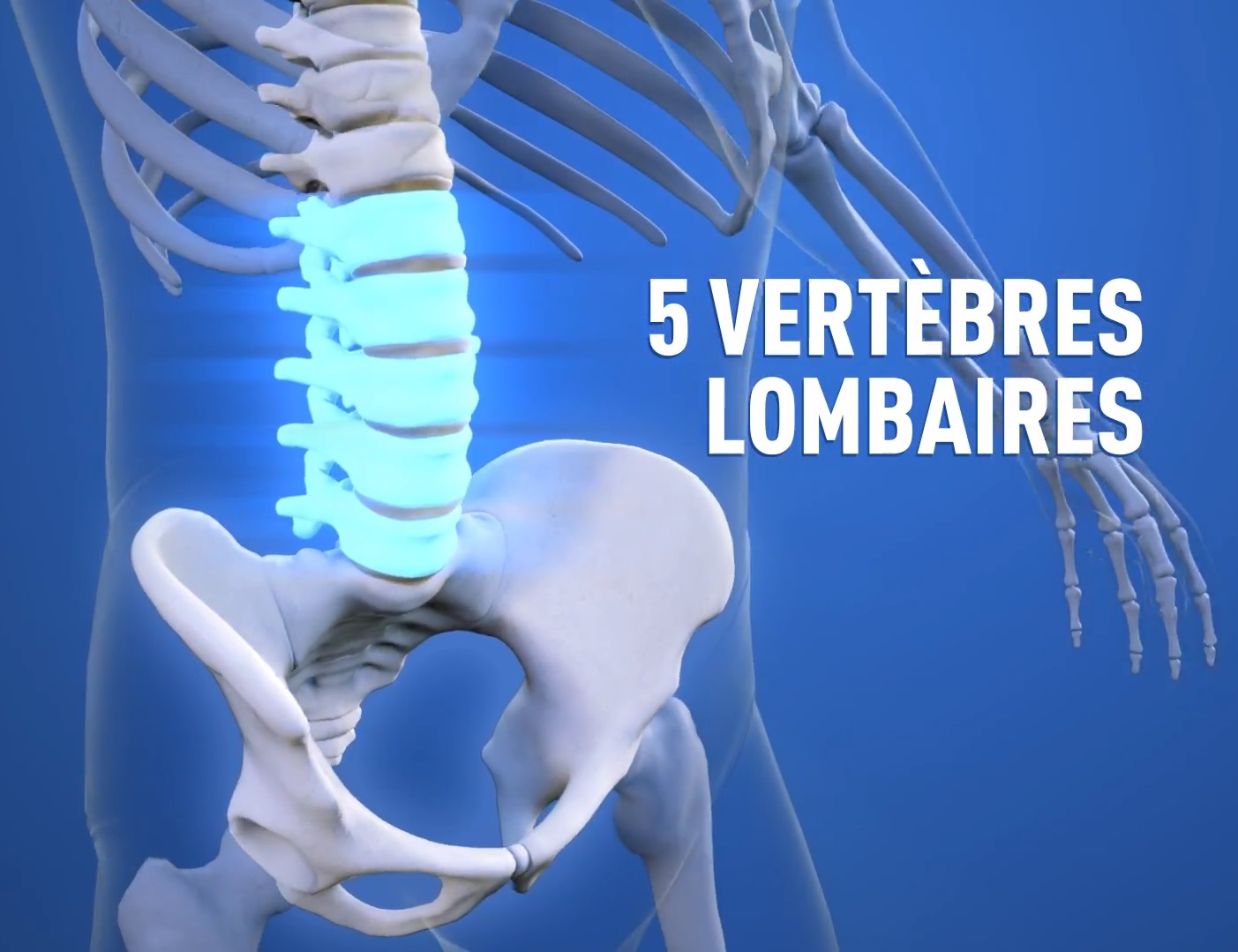 La lombalgie ou la fatigue de mes vertèbres lombaires